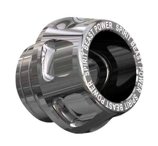 Spirit Beast Axle CrashPad/Slider - silver [506]